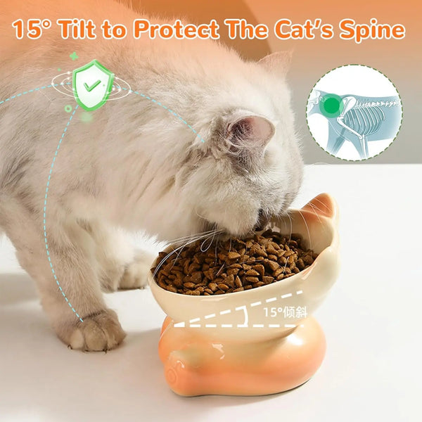 Ceramic Tilted Cat Bowls for Comfortable Eating $80.70