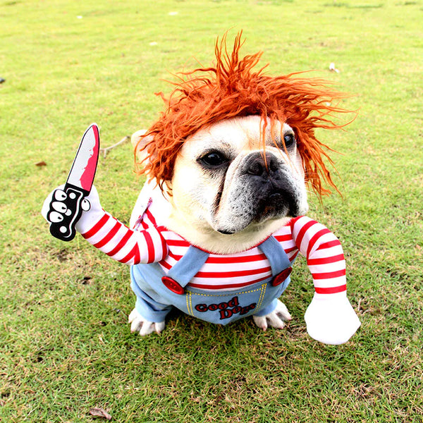 Spooky Pet Cosplay Outfit
