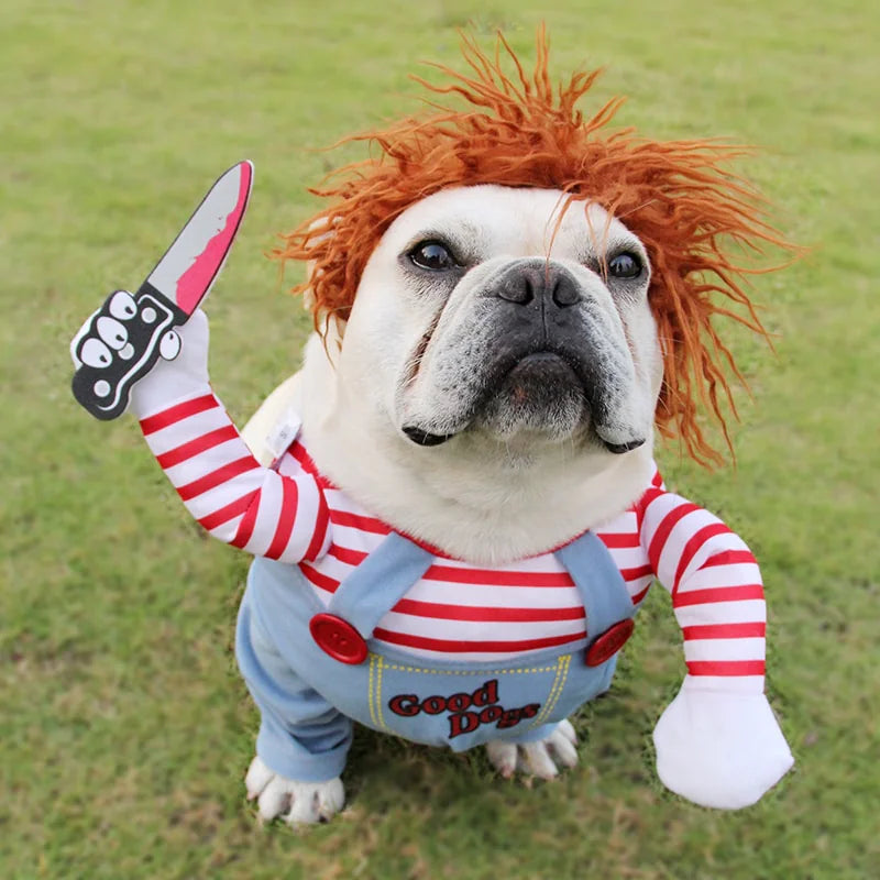 Spooky Pet Cosplay Outfit