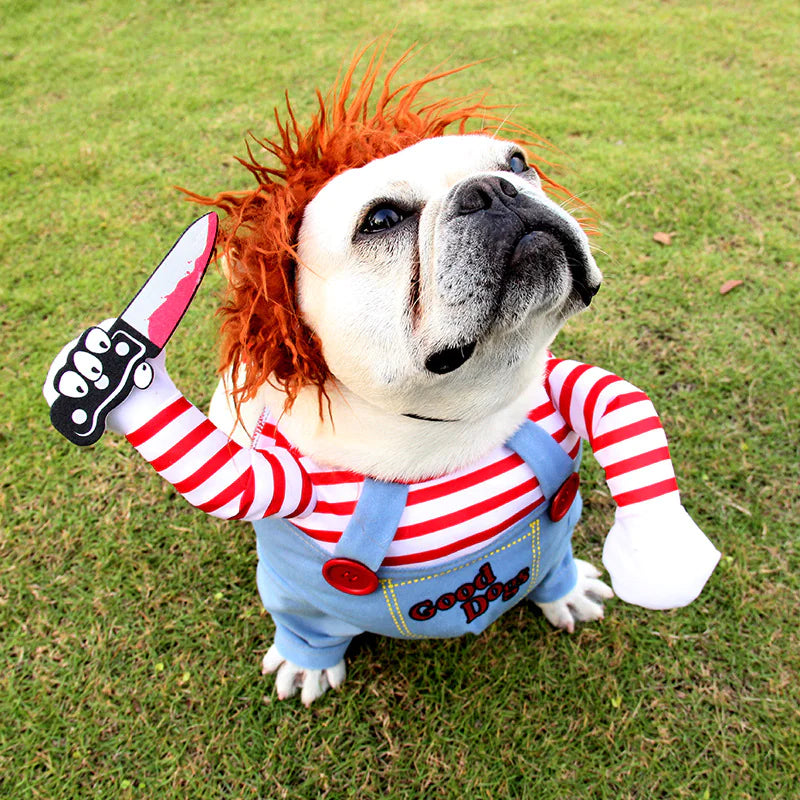 Spooky Pet Cosplay Outfit