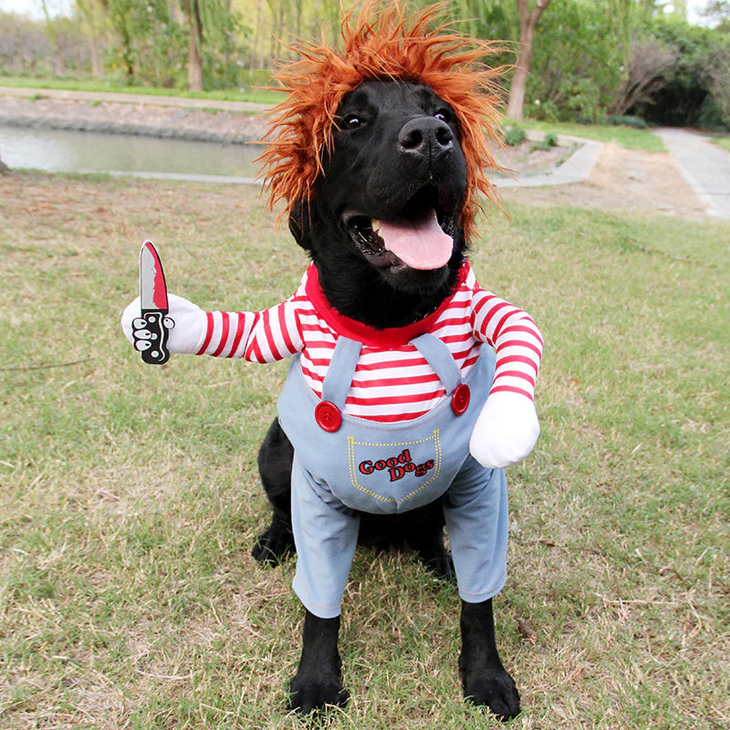 Spooky Pet Cosplay Outfit